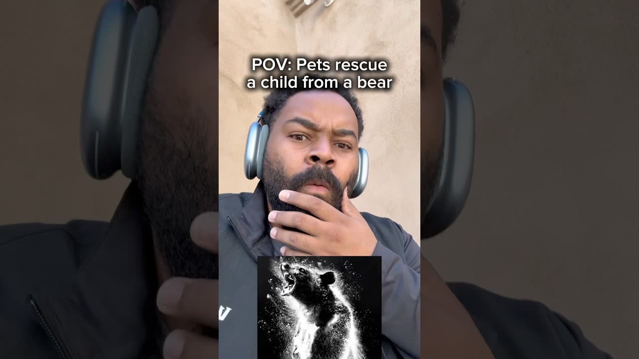 Who wins? Pets vs Bear 🐻
