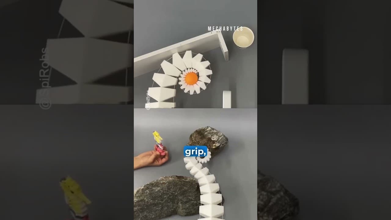 These robots are freaking me out