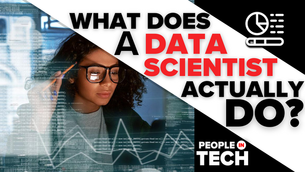 What does a Data Scientist Actually do?